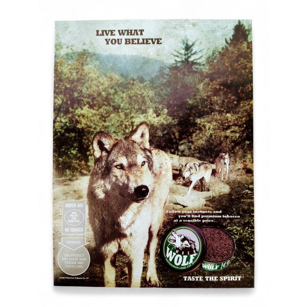 2002 Wolf Chewing Tobacco Print Ad Pack of Wolves Forest Taste the Spirit‎ Quote
